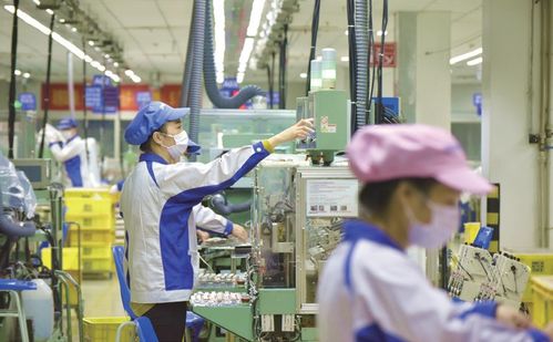 江西省贛州市科技創新服務中心領導一行蒞臨億融創服交流訪問，深化信息技術咨詢服務合作